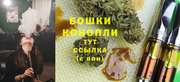 трава Арсеньев