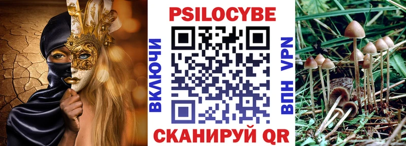 Псилоцибиновые грибы Magic Shrooms  Купить закладки  Богородицк 